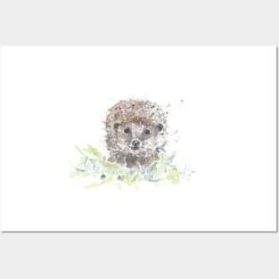 Hedgehog portrait Posters and Art